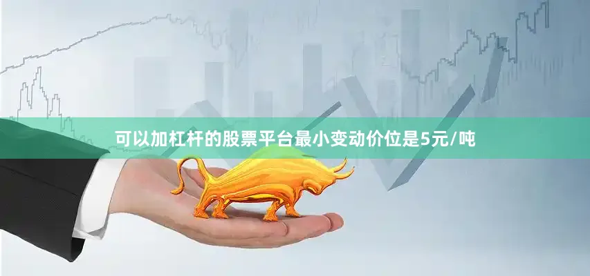 可以加杠杆的股票平台最小变动价位是5元/吨