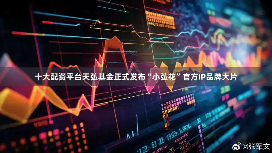 十大配资平台天弘基金正式发布“小弘花”官方IP品牌大片