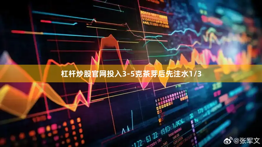 杠杆炒股官网投入3-5克茶芽后先注水1/3